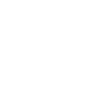 Shopping Cart Icon