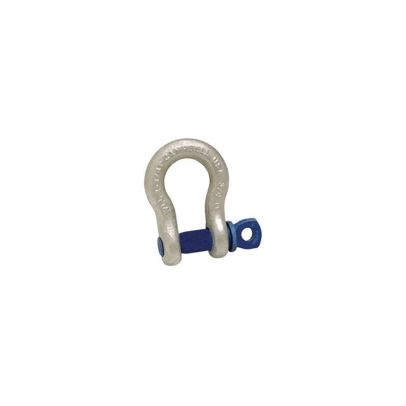 1/4" Anchor Shackle Screw Pin H/G