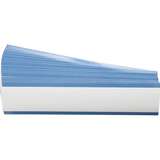 brady dia-250-wt redirect to product page