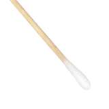 Cottontips™ Double-Head Swab with 0.19" Tip and Wood Handle, 6" Long, 100 per Bag, 1000 per Package redirect to product page