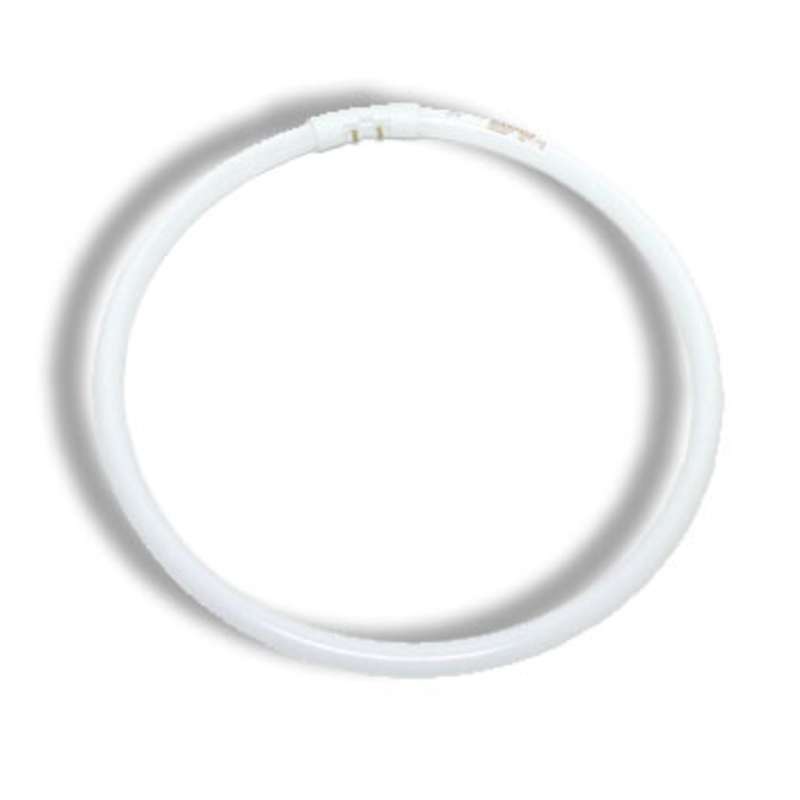 18 Watt Circline Fluorescent Bulb with T5 Base, 5500K Color Temperature