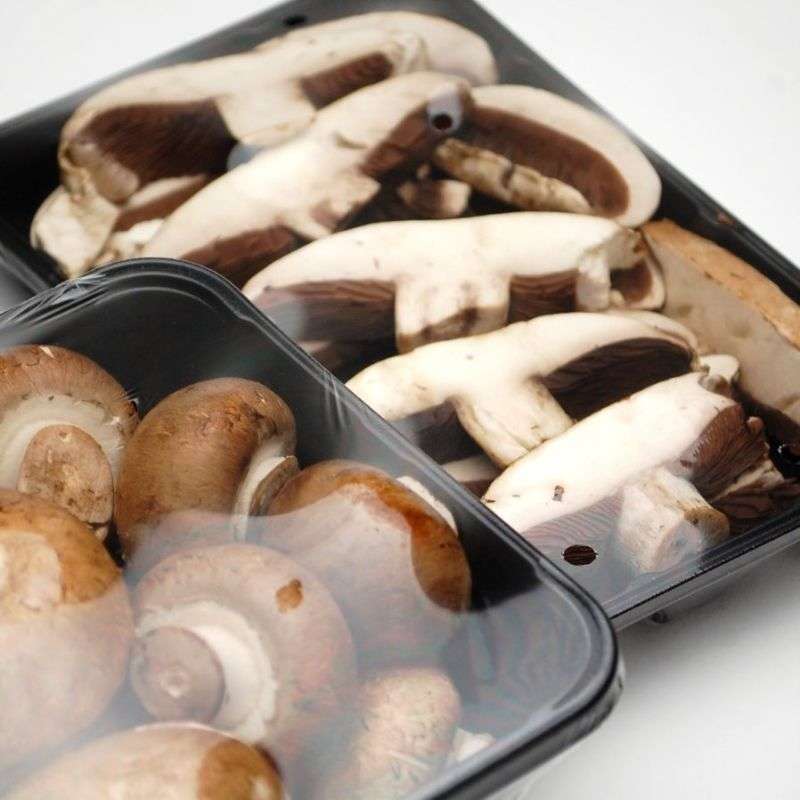 Vented Perforated Mushroom Overwrap Film, 14" x 5000 Ft Roll