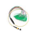 1 M Breakout Cord For SM MPOAPC Unpinned SCAPC Connector redirect to product page