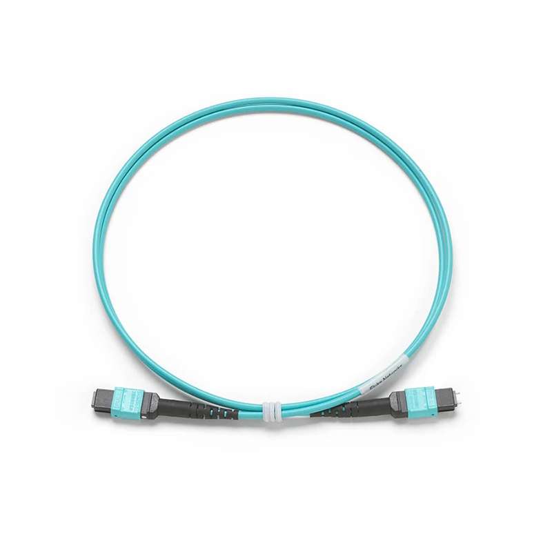 1M Test Cord, MPO/MPO, Unpin/Pin, Type B Polarity