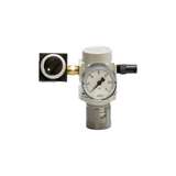 Precision Air Regulator/Gauge/ Valve, 0-30 PSI with Syringe ADPT redirect to product page