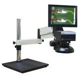 Digital Microscope, 60X, Articulating Arm, Steel Base redirect to product page