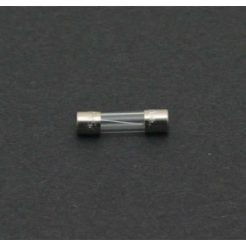 Fuse, 1.25A, Time Lag, IEC for MBT 250 Export System, 5/Package