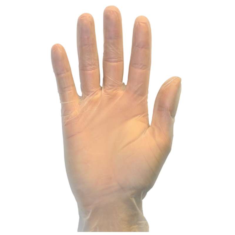 Powder Free Standard Vinyl Gloves, Clear, X-Large, 100/Box, 10 Box/Case